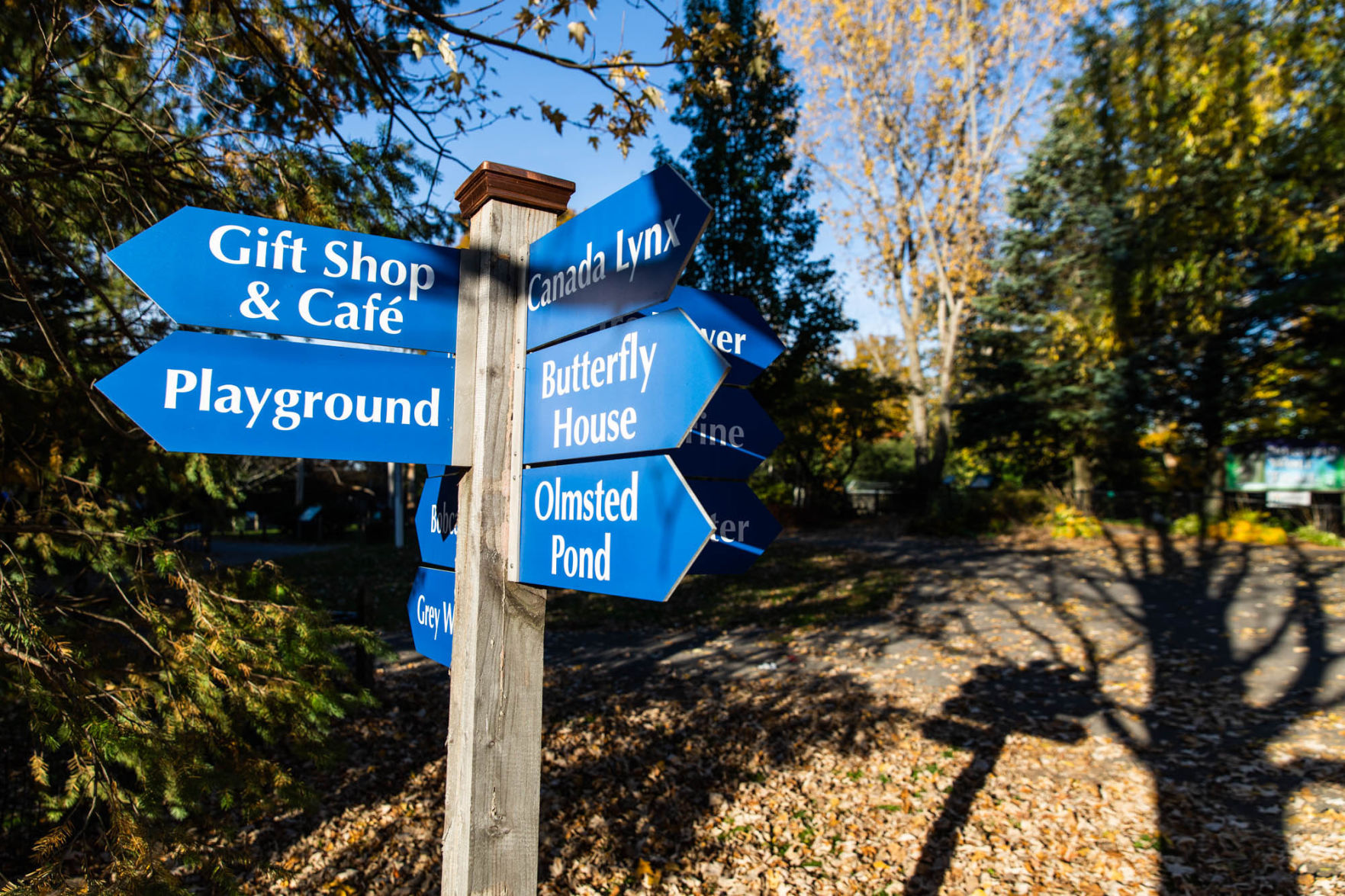 City coming to aid of struggling zoo